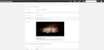 do any wordpress customization