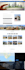 make business website in wordpress or custom development