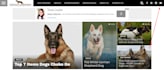 fix and edit wordpress website