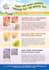 design high quality flyer design