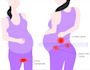 draw illustration for figures in biology books
