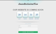 do a clean and professional website design for your business