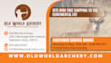 do professional flyer, brochure, leaflet or poster design