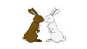 make a 2D animation