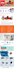 design email newsletter template