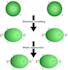 draw illustration and animation for chemistry books