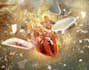 do adobe photoshop retouching and editing photos