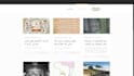 create a professional website or blog