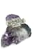 image background removal and resizing professionally