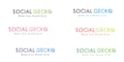 design professional logo with unlimited revisions