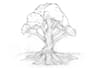 make awesome sketches from your images