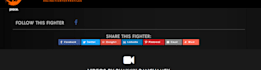 fix issues or customize your wordpress website