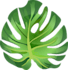 do vector trace and convert image to vector