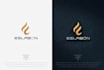 create a modern logo with a professional branding kit