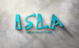 make 3d logo mockup in 800 different styles