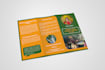 design brochure, flyer, proposal for your business