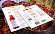 design the best creative flyer brochure leaflet poster invitaion