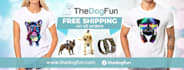 design wordpress website for you