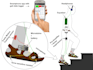 animate and draw illustration for physics