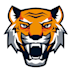 vectorize your logo, convert image to vector, vector tracing