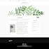 design redesign wordpress website with GEO SEO