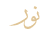 do vector tracing, replicate, logo to vector, image to vector in 3 hours