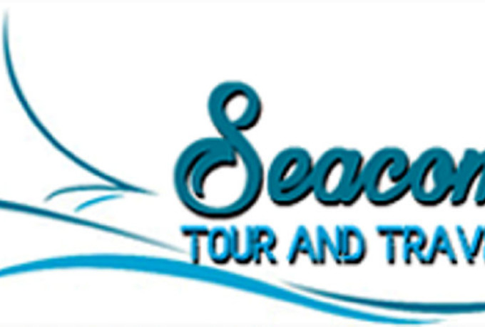 do web developing,designing, logo designing