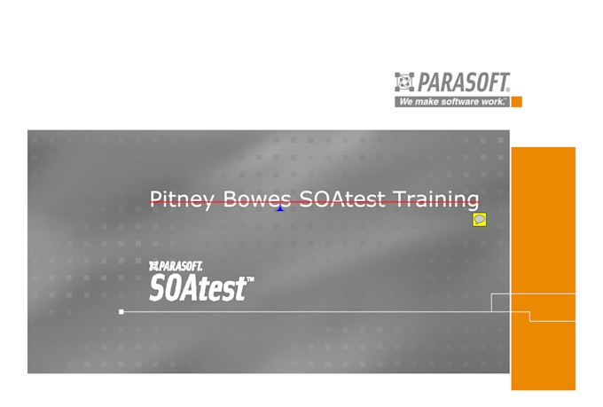 provide training and test your Web Application Functionality