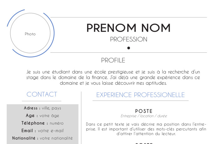 Translate French Cv English Resume Or German Lebenslauf By
