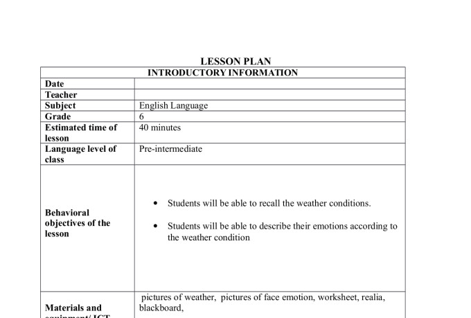 Video lesson plans