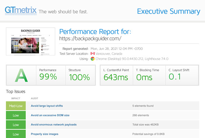 provide professional wordpress speed optimization
