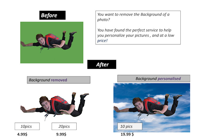 realistic background removal  low price