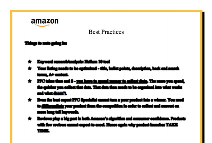 audit free, manage, train, and optimize your amazon seller PPC campaigns