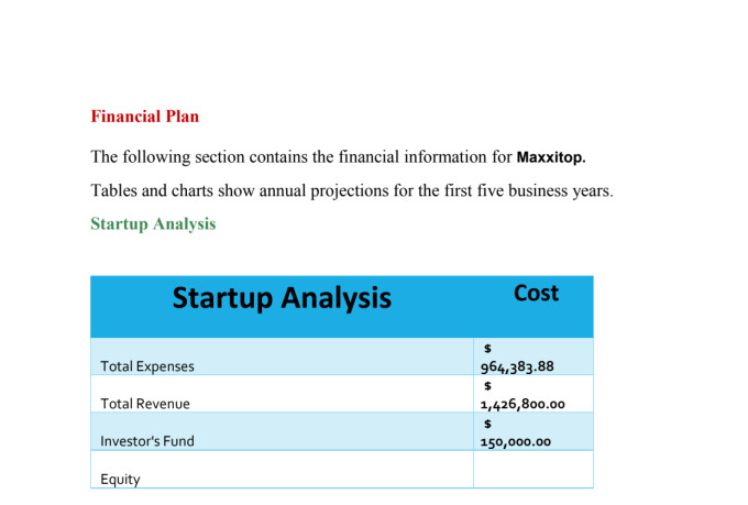 a 12 month projection and business plan for narrative with year to date financial documentation