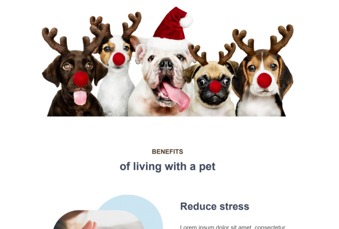 Design mailchimp email template popup form and automation by