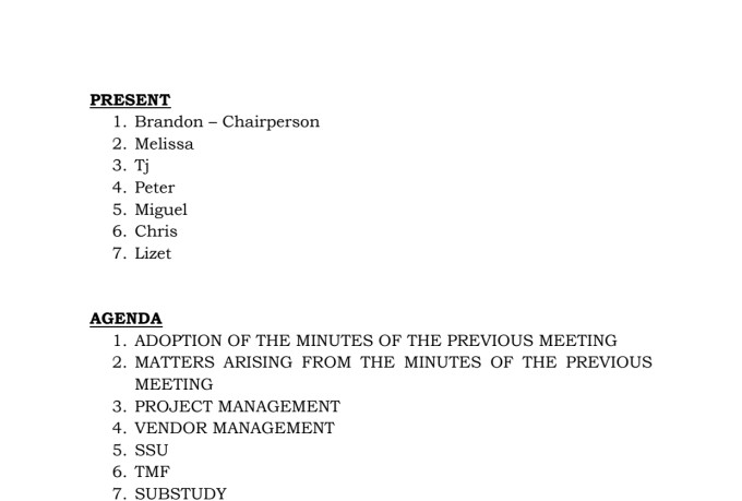 write concise minutes for your meetings