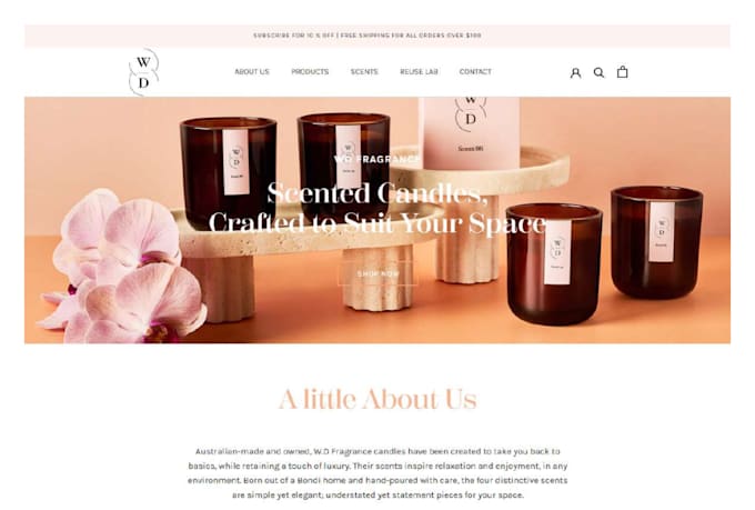 setup and design shopify ecommerce website or store