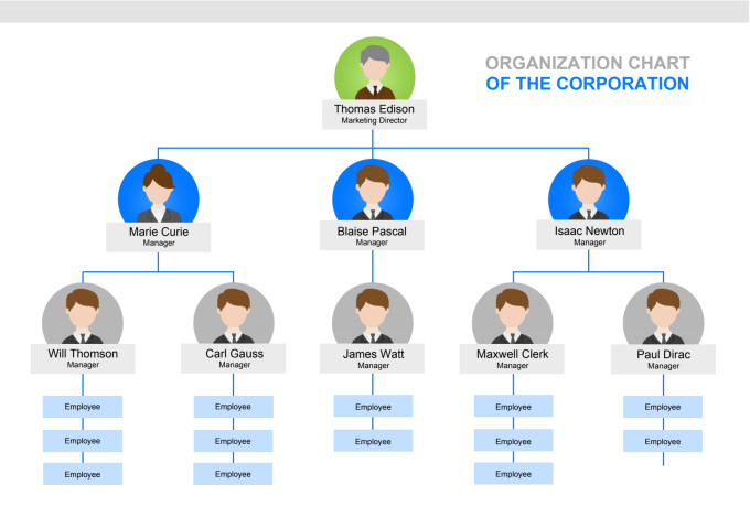 Create clear and visually appealing organisation chart by Dpka_tayade ...