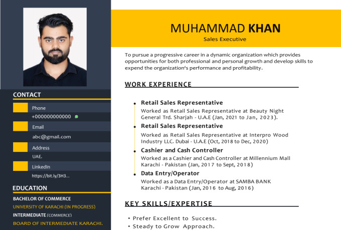 Design Professional Resume, Cv, And Cover Letter Templates In 1 Day 24 