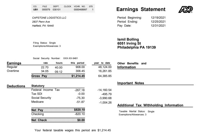 Create adp pay stubs, paystub, checkstubs, payroll and payslips by ...