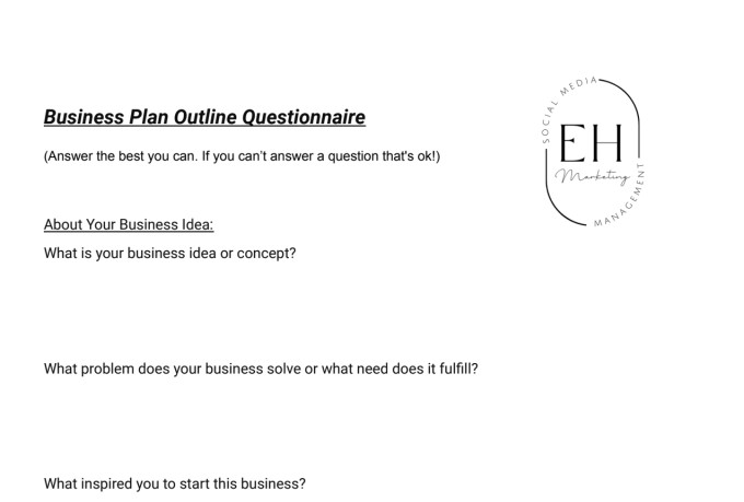 Help You With A Perfect Business Plan Outline By Jay Hofstedt 