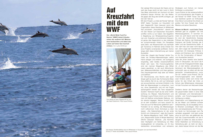 write a professional article in german based on an interview