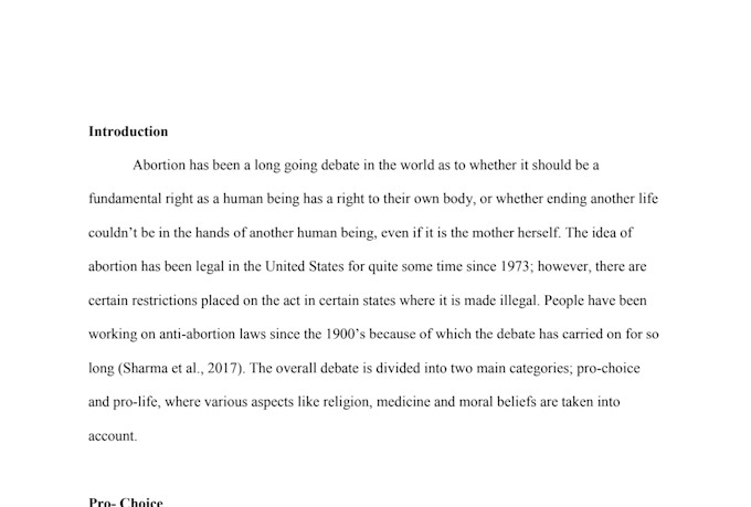 write persuasive argumentative and rhetorical essay within 24 hours