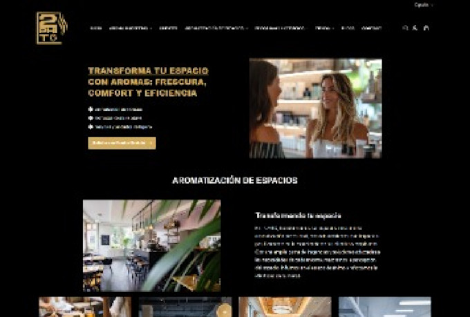 create shopify dropshipping store, shopify store design and redesign