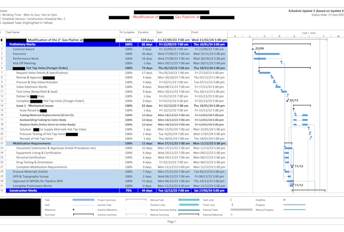 create a professional project schedule