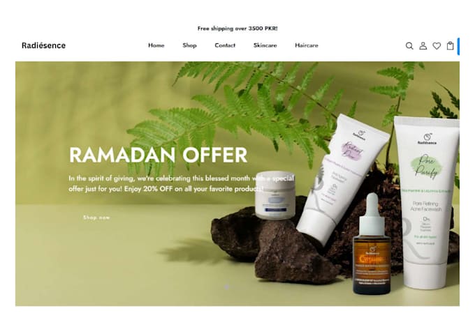 design, redesign shopify or dropshipping store