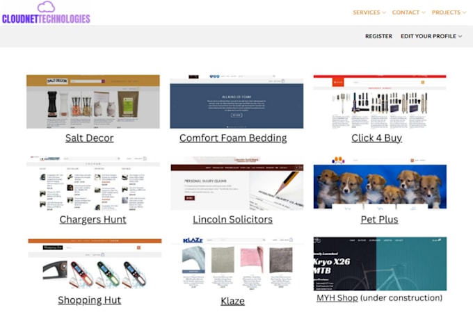 build a professional ecommerce website for your business