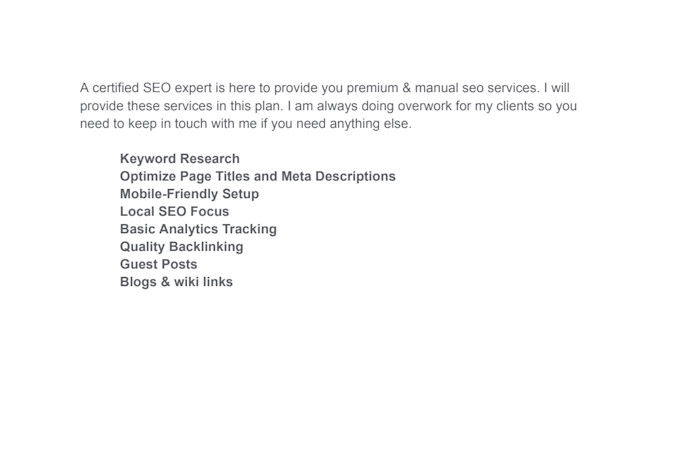 provide manual seo services