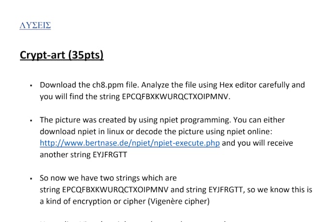 perform a penetration test with professional report
