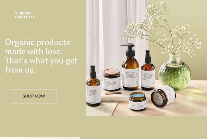 design and develop professional wordpress responsive website
